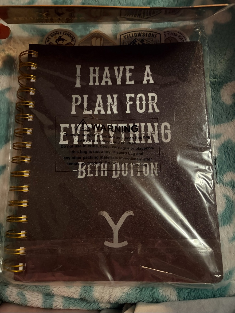 Yellowstone Journal